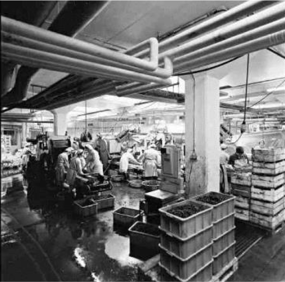 erste-industrielle-verarbeitung