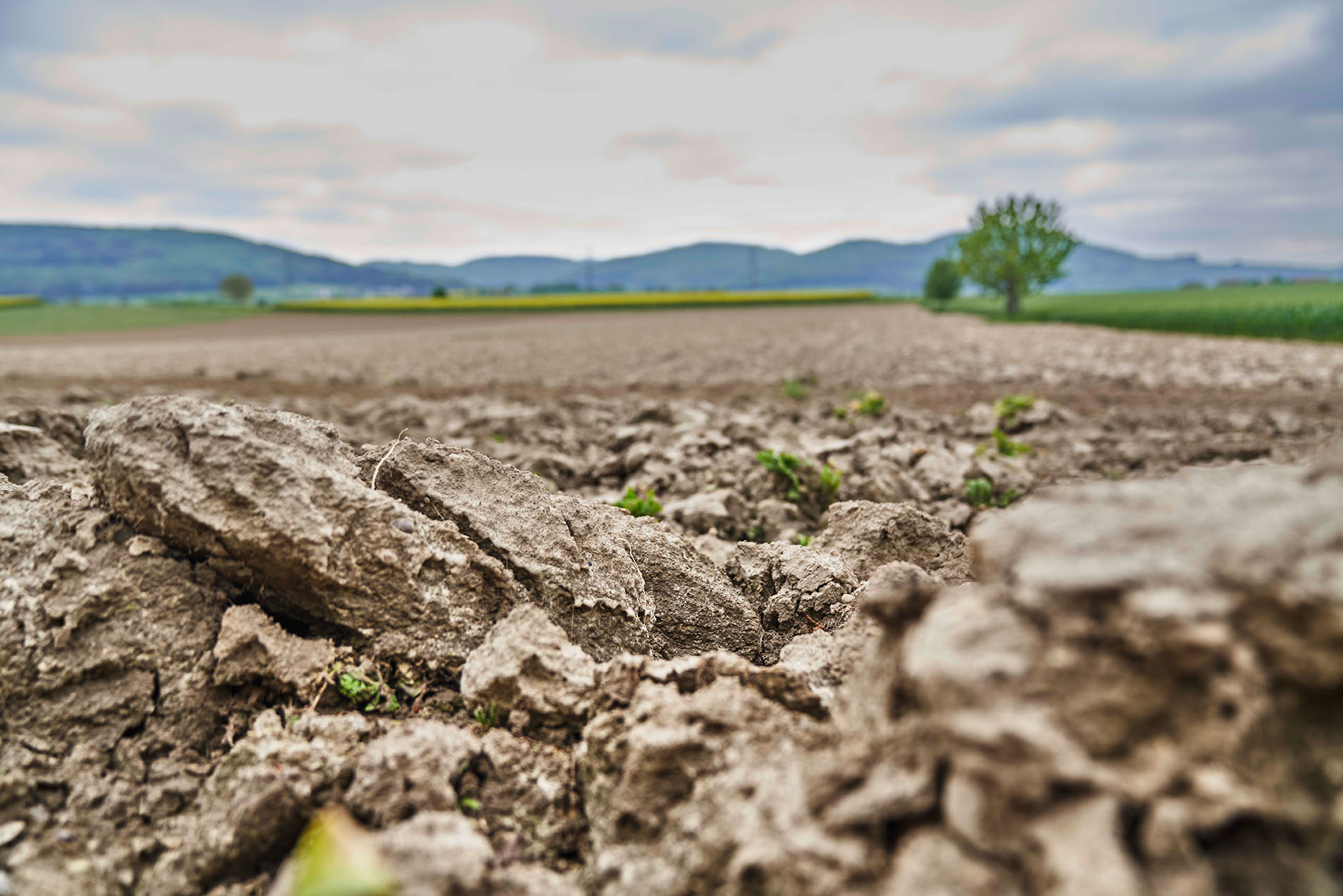 Dieses Label steht für Natürlichkeit, Nachhaltigkeit und Frische. Schweizer Landwirte, die ihre Erzeugnisse mit «Suisse Garantie» bezeichnen möchten, unterliegen strengsten Richtlinien. So etwa müssen sie eine ausgeglichene Düngerbilanz vorweisen und einen ökologischen Leistungsnachweis erbringen. Gentechnisch veränderte Organismen, leistungsfördernde Hormone und Antibiotika sind verboten.