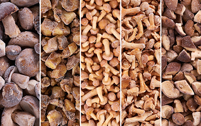 100318_PB_exklusiv-pilze-assortiert_RGB