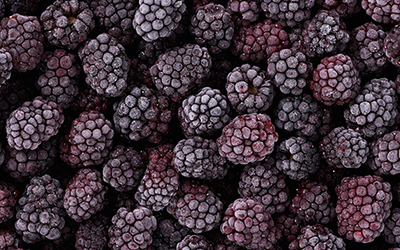 produkt_brombeeren