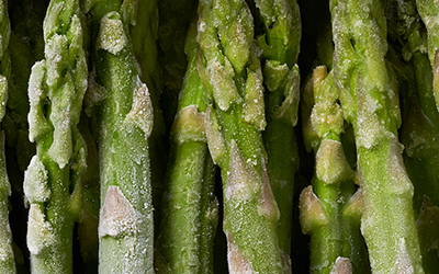 produkt_gruenspargel_extraselect