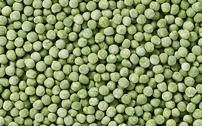 produkt_markerbsen_fein