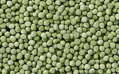 produkt_markerbsen_sehr_fein