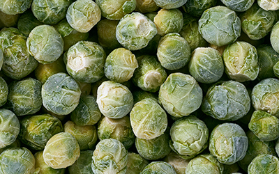 produkt_rosenkohl