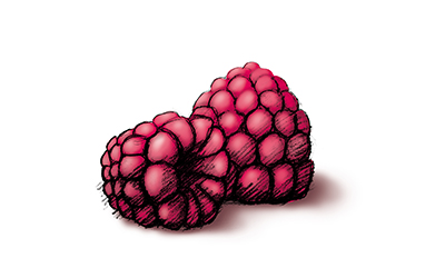 101410_himbeeren_LIMIT_RGB