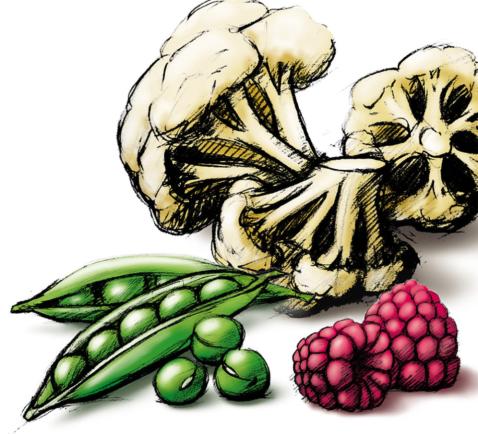 produktgruppe_LIMIT_RGB