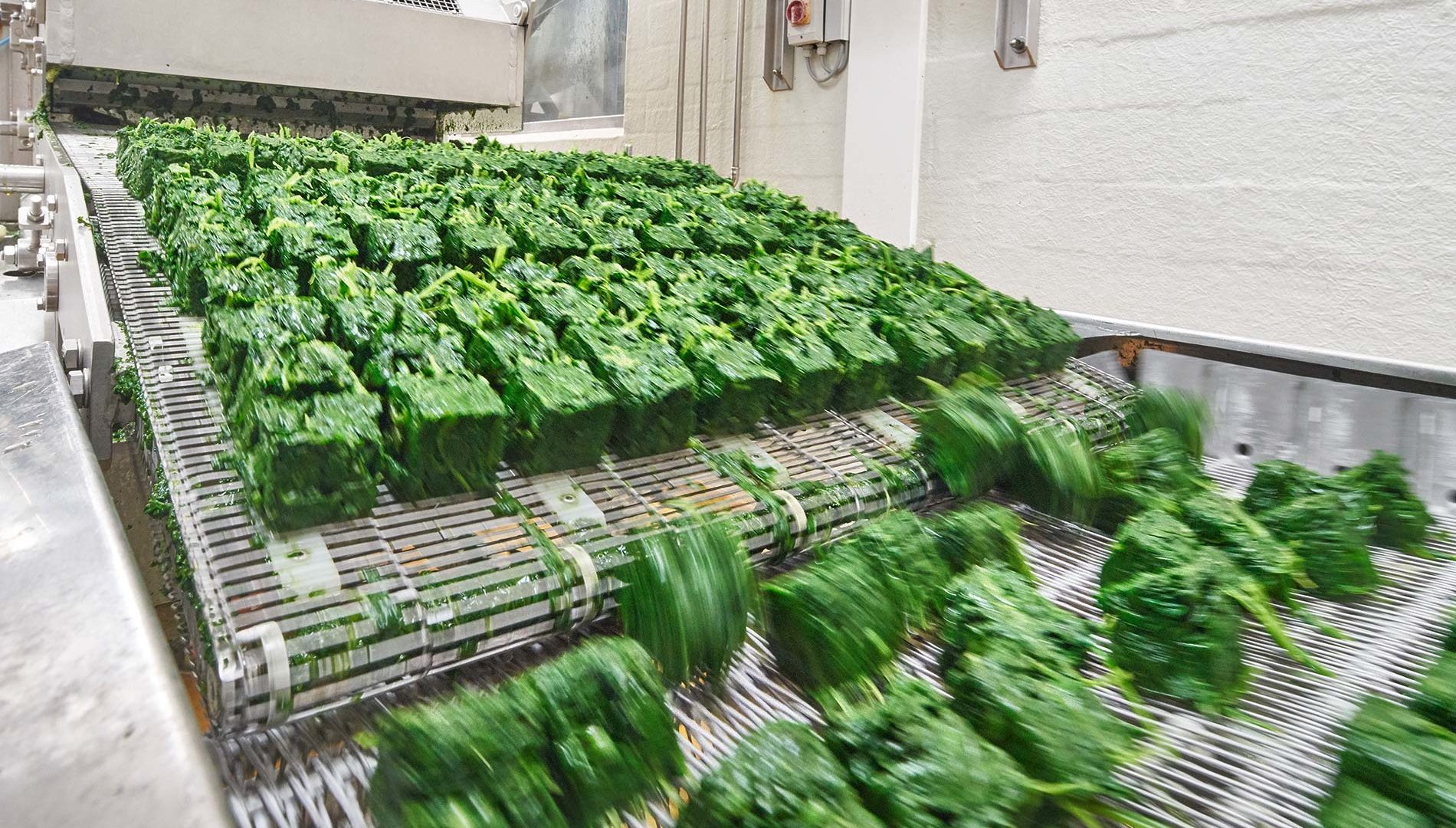 srf_schweizaktuell_1930x1300