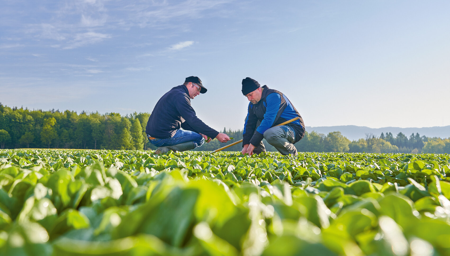 Ditzler-Nachhaltigkeit-1900x1300-0-Cover