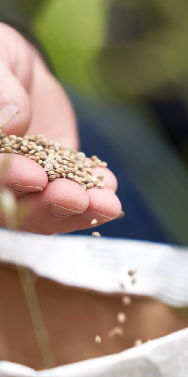 Frisch-vom-Feld_Startseite