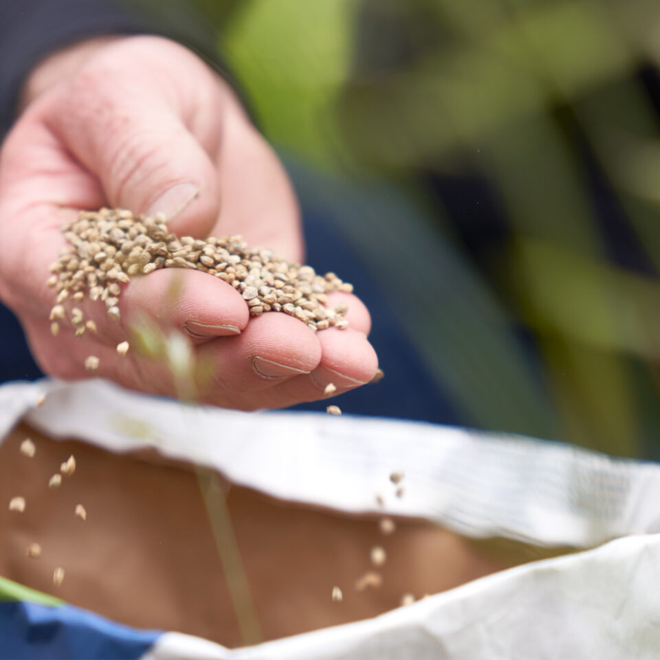 Frisch-vom-Feld_Startseite