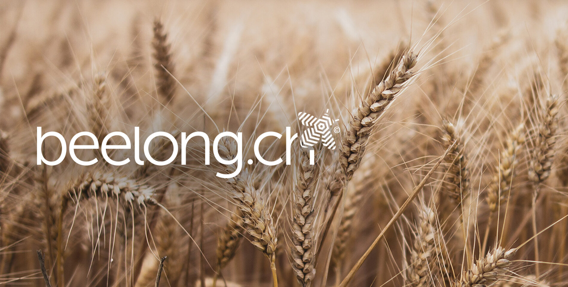 Startseite_Beelong-Eco-Score