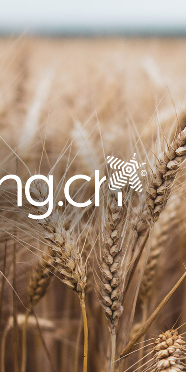 Startseite_Beelong-Eco-Score