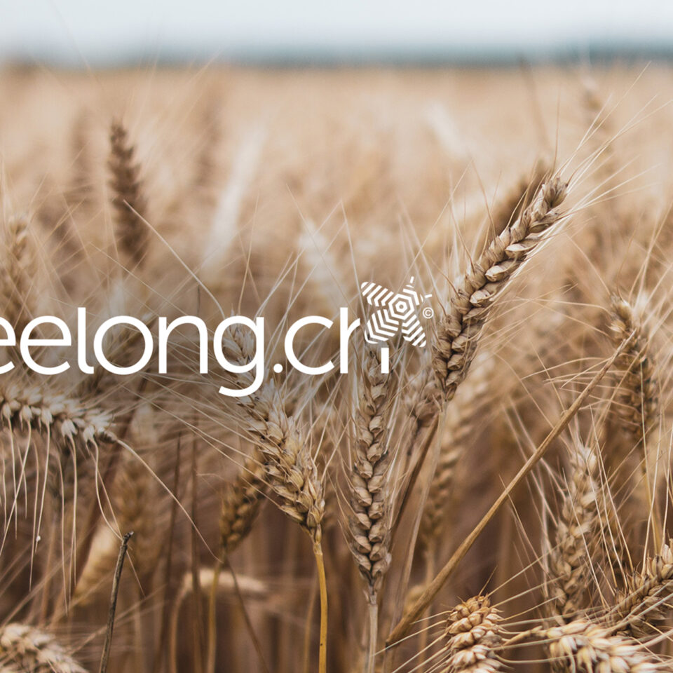 Startseite_Beelong-Eco-Score
