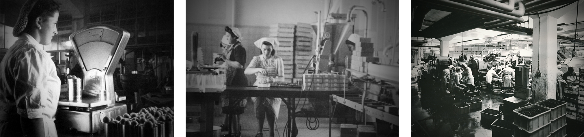 Les 100 ans de la LDAG - Industrialisation