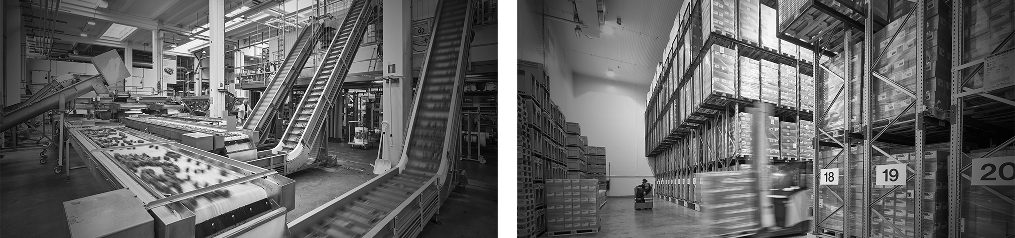 Les 100 ans de la LDAG - Modernisation