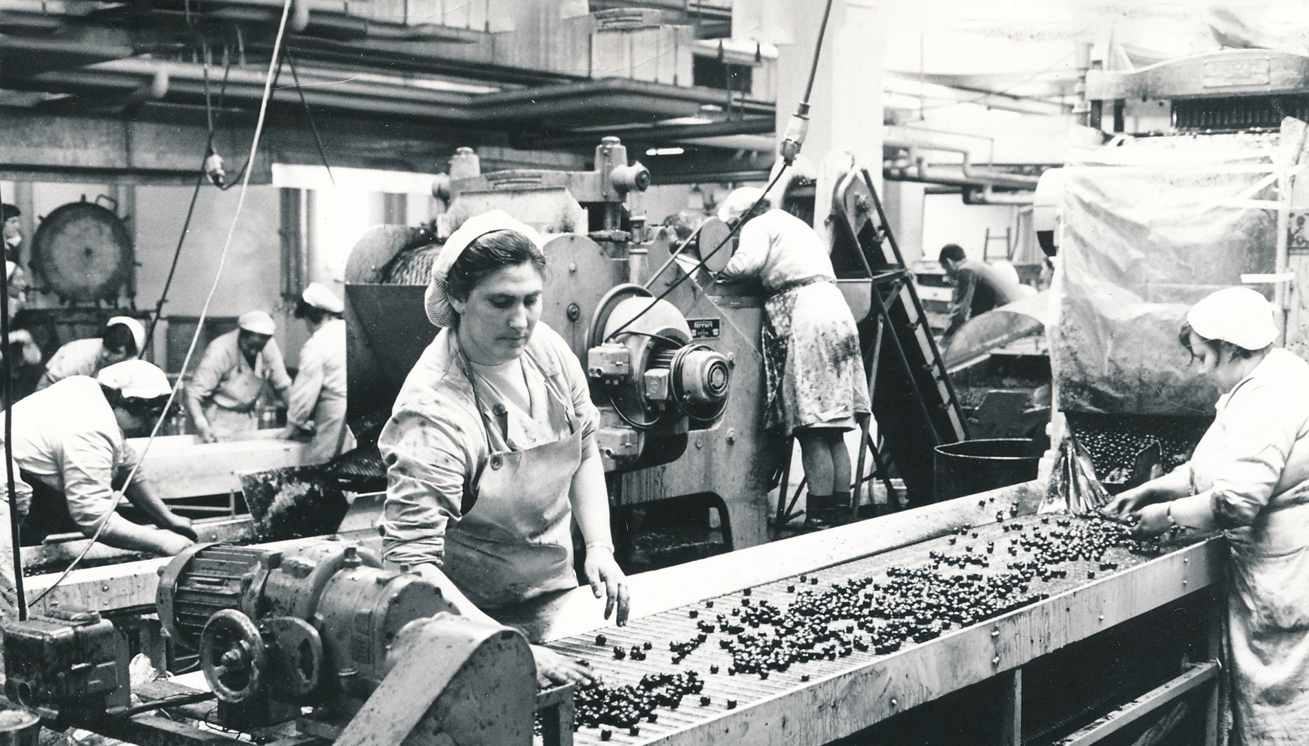 Header_2_LDAG_100Jahre