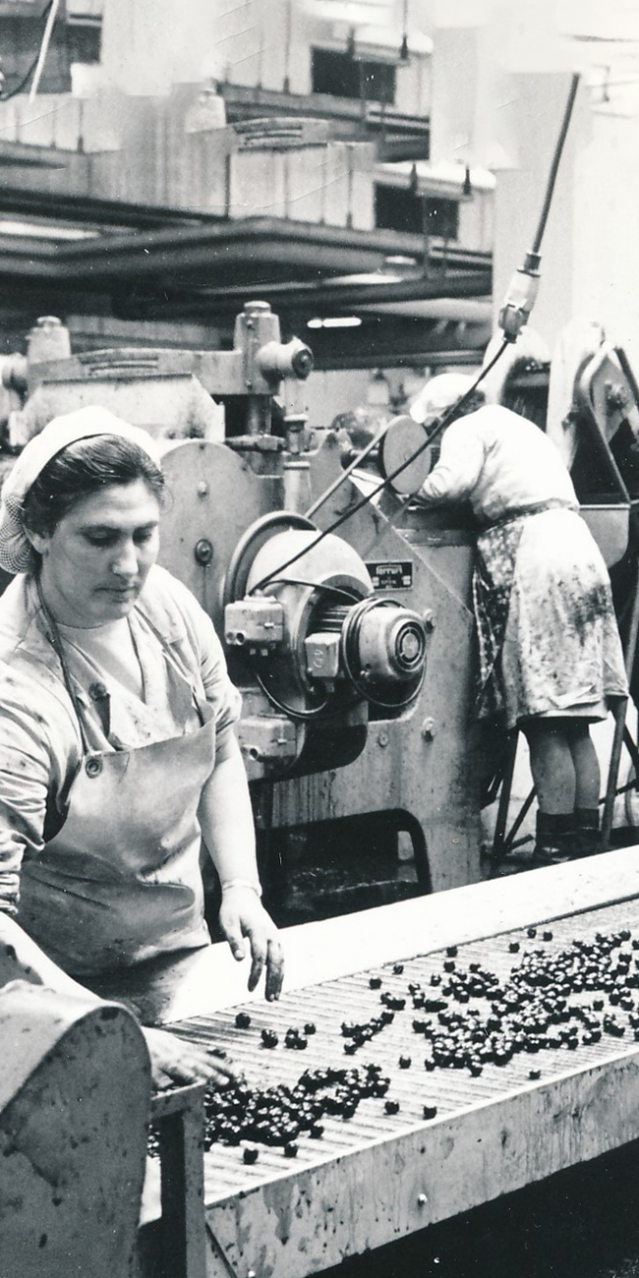 Header_2_LDAG_100Jahre