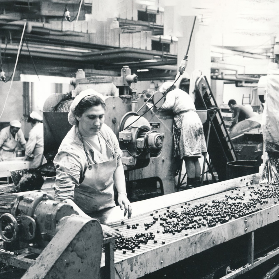 Header_2_LDAG_100Jahre