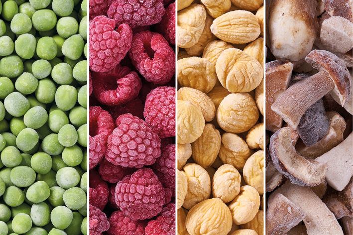 Bild_Standbesprechung-gastia26