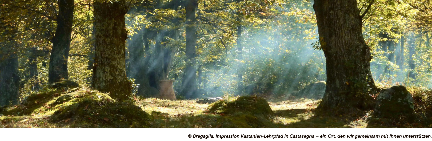 Kastanienlehrpfad_Castasegna